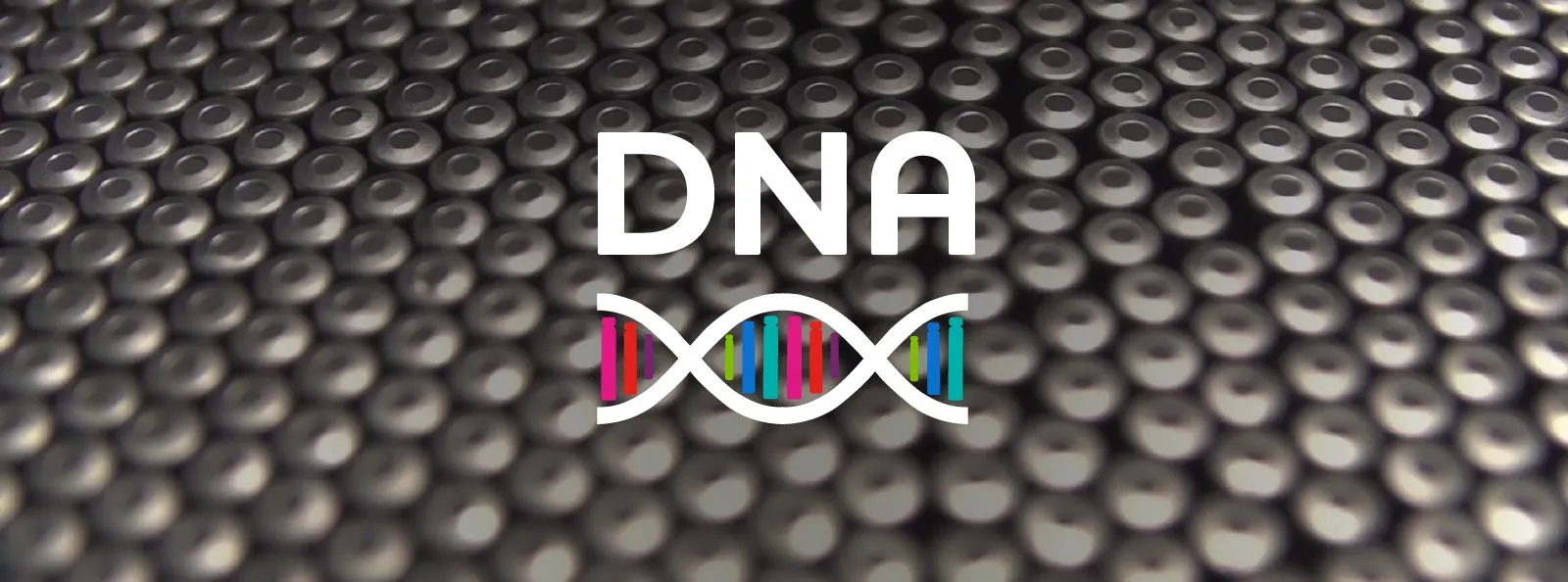 dna