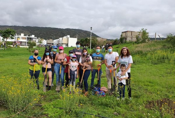 reforestacion-luna-bosque